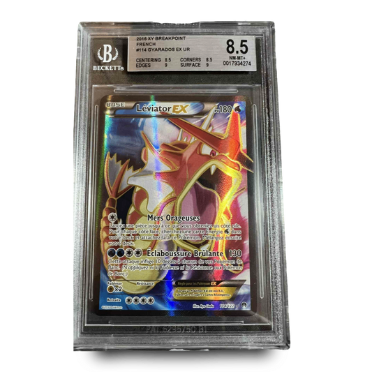 Carte Gradée - BGS8.5 - Léviator Ex 114/122 - XY Rupture Turbo