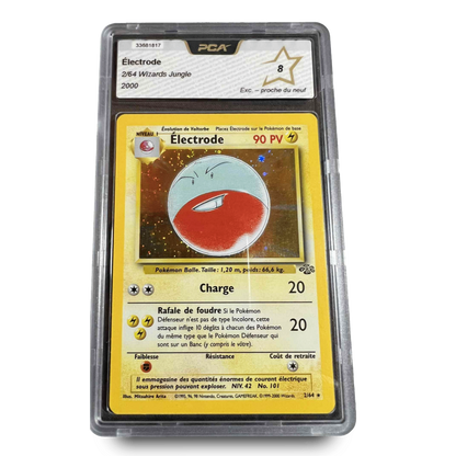 Carte Gradée - PCA 8 - Electrode 2/64  - Jungle